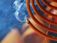 摄影新手必学构图的基础概念