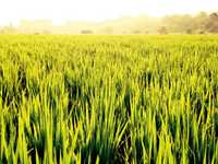 手机摄影10个相关的拍摄技巧