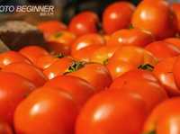 5个永远拍不完的摄影题材