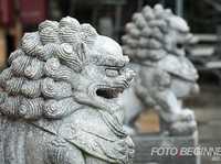 7个有关光圈使用的常见问题