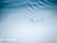 拍出简单有深度相片的4个技巧