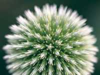 大师教你如何拍出风光大片