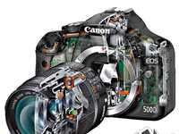 新手必学拍摄时该如何对焦？