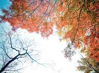 拍好局部特写的关键思维