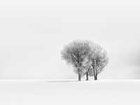 超实用的冬季雪景拍摄技巧