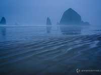 如何利用前景营造出照片的景深感