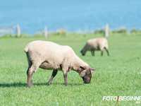 6个按下快门前必须检查的关键设定