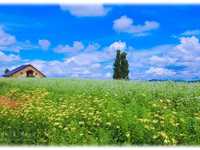 24mm定焦镜头的8个魔力