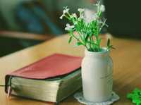 如何用光的艺术把握美丽的景象