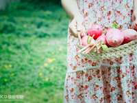 如何有效地学习拍摄美食摄影？