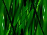 拍出抽象艺术相片的5个技巧