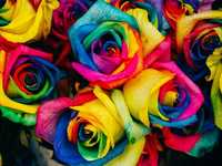 摄影必备超系统详解色彩理论