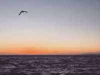 10个简单技巧就能拍出高逼格