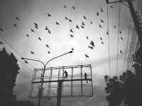 如何利用手机拍出惊艳照片