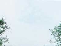 拍摄情侣照如何摆姿最自然？