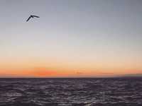 成为手机摄影达人的7个训练方法