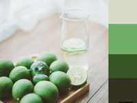 如何拍出清新凉爽的照片