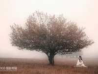 如何拍出内容丰富的古风人像