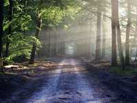 拍出好照片的决定性因素