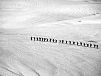 掌握这些设计元素改善画面的视觉效果