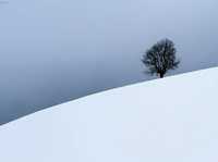 极简摄影是一个剥离的过程