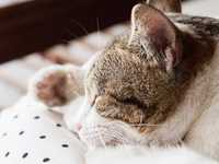 教你搞懂光圈大小的成像差异