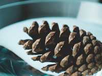 如何把平凡的事物拍出惊艳感