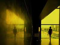 教你如何选择系列照片的主题