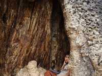 利用光线特性拍出与众不同的照片