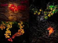 培养摄影的观察力发现不寻常的视角