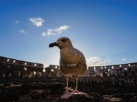 如何把照片拍得更有“观感”