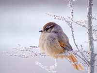 风光摄影的10个相机设置须知