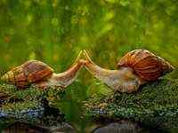 人像摄影师必备的十大心法